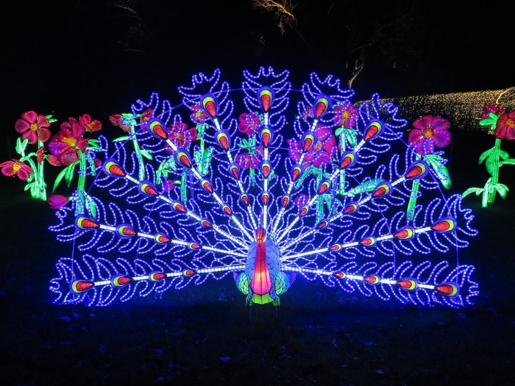 Installation lumineuse en forme de paon à Kew Gardens